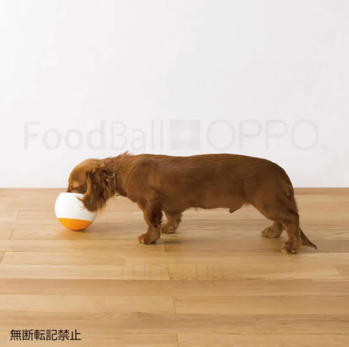 OPPO 犬用球形搖搖食碗 (三色可選)